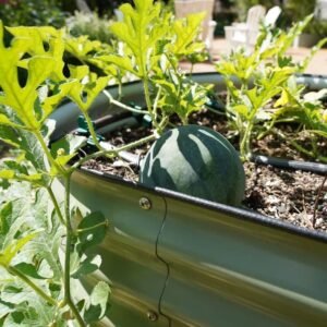 26″ Tall 9 In 1 Large Modular Metal Raised Garden Bed Kit - Image 3